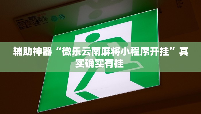 辅助神器“微乐云南麻将小程序开挂”其实确实有挂 辅助神器“微乐云南麻将小程序开挂”其实确实有挂