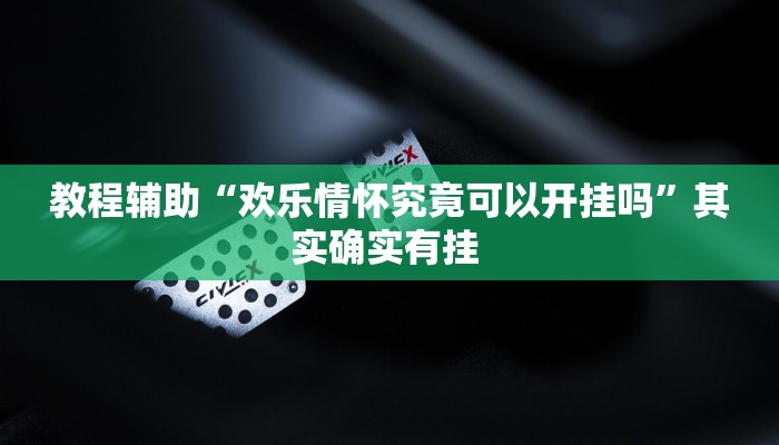 教程辅助“欢乐情怀究竟可以开挂吗”其实确实有挂 
