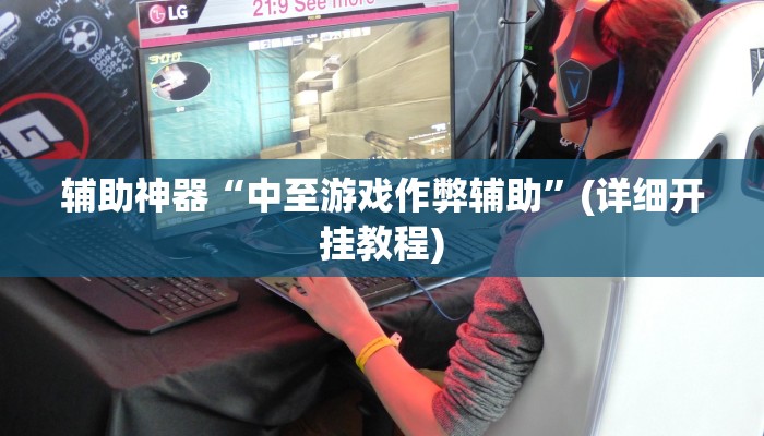 辅助神器“中至游戏作弊辅助”(详细开挂教程) 辅助神器“中至游戏作弊辅助”(详细开挂教程)