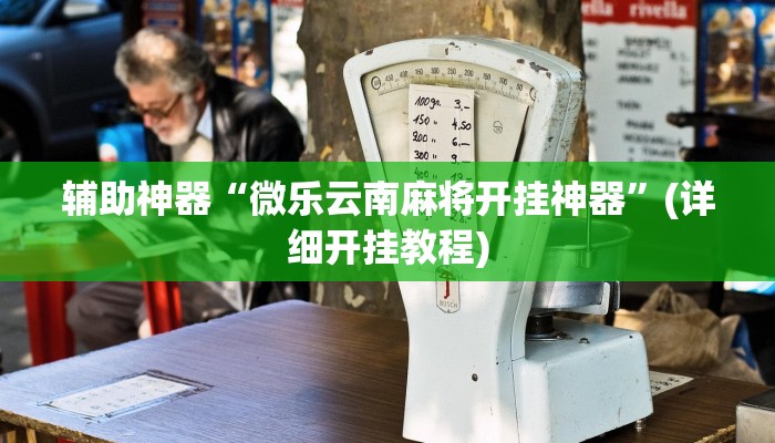 辅助神器“微乐云南麻将开挂神器”(详细开挂教程)