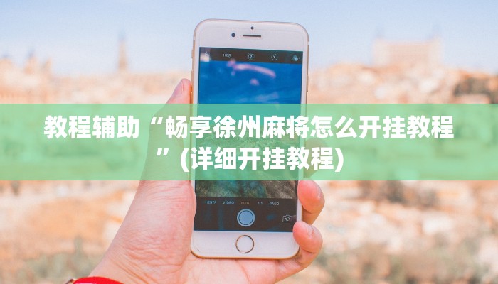 教程辅助“畅享徐州麻将怎么开挂教程”(详细开挂教程) 教程辅助“畅享徐州麻将怎么开挂教程”(详细开挂教程)