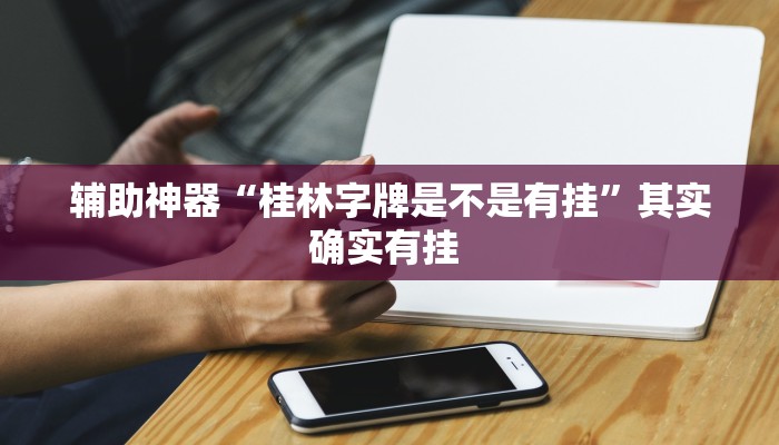 辅助神器“桂林字牌是不是有挂”其实确实有挂 辅助神器“桂林字牌是不是有挂”其实确实有挂