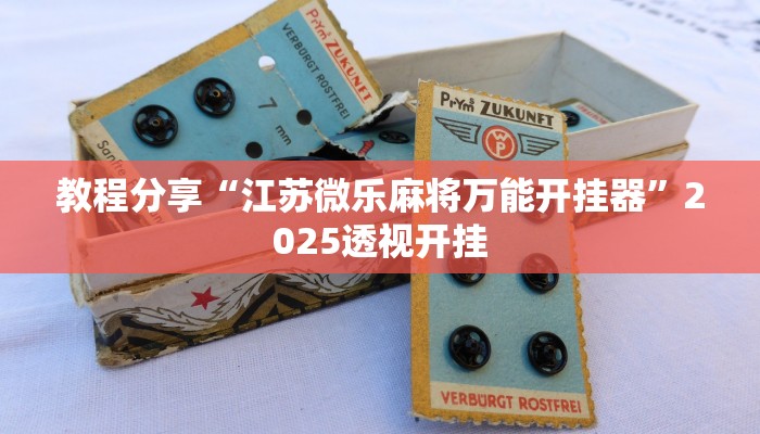 教程分享“江苏微乐麻将万能开挂器”2025透视开挂 教程分享“江苏微乐麻将万能开挂器”2025透视开挂