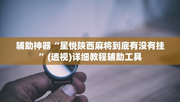 辅助神器“星悦陕西麻将到底有没有挂”(透视)详细教程辅助工具