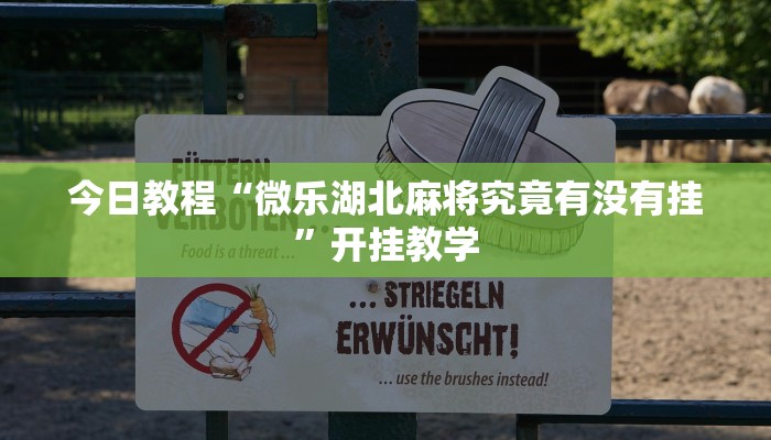 今日教程“微乐湖北麻将究竟有没有挂”开挂教学