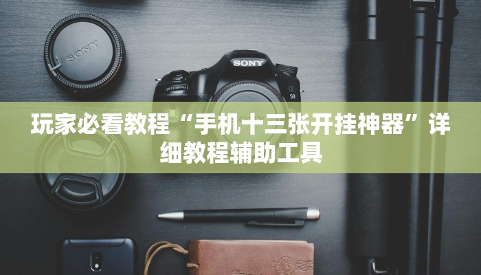 玩家必看教程“手机十三张开挂神器”详细教程辅助工具