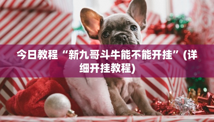 今日教程“新九哥斗牛能不能开挂”(详细开挂教程)