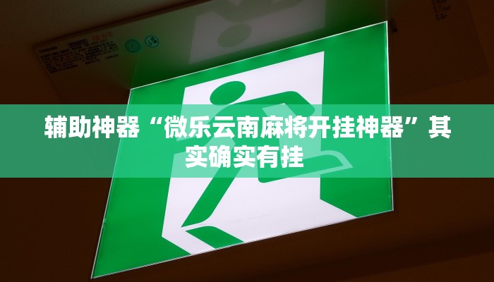 辅助神器“微乐云南麻将开挂神器”其实确实有挂 