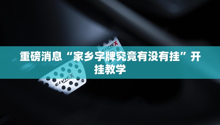 重磅消息“家乡字牌究竟有没有挂”开挂教学