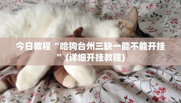 今日教程“哈狗台州三缺一能不能开挂”(详细开挂教程)