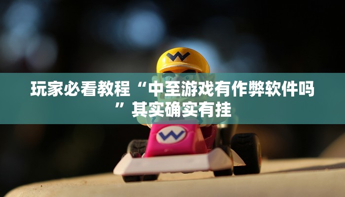 玩家必看教程“中至游戏有作弊软件吗”其实确实有挂