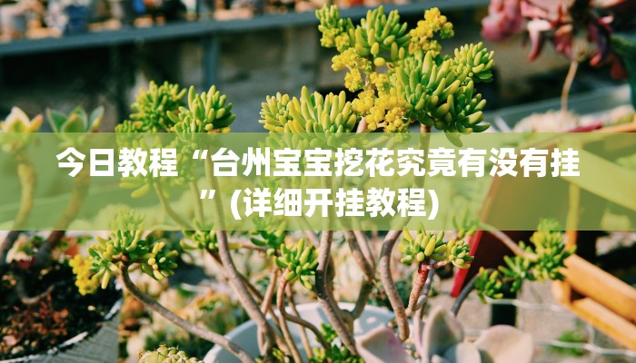 今日教程“台州宝宝挖花究竟有没有挂”(详细开挂教程)