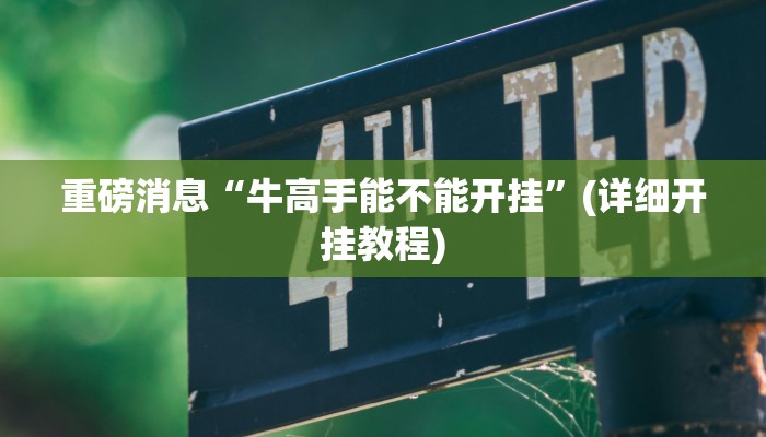 重磅消息“牛高手能不能开挂”(详细开挂教程)